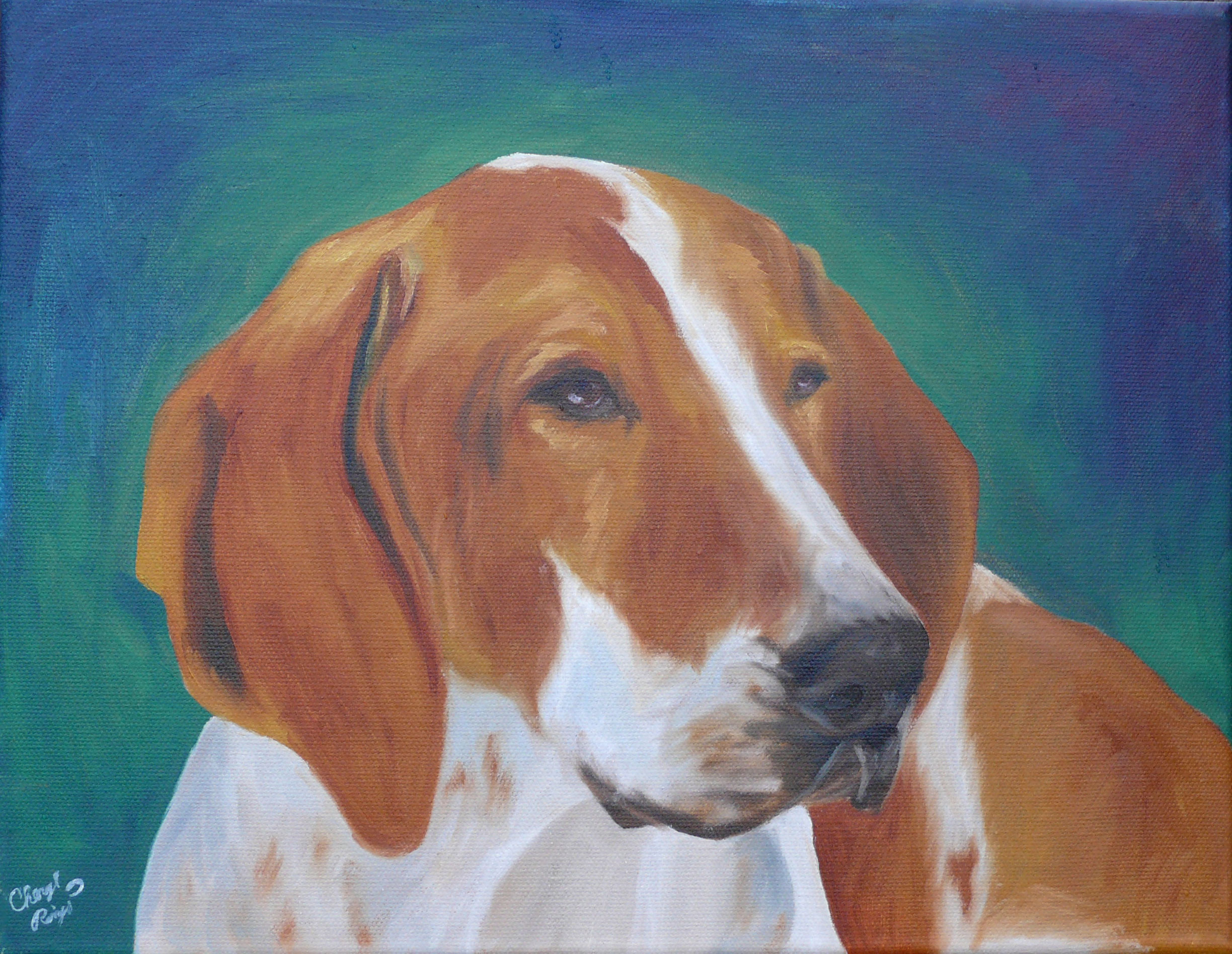 Foxhound Portrait